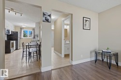 Wood-finish flooring throughout the main area and tile flooring in the kitchen and hallway - 