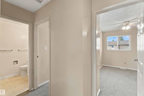 Interior hallway with carpeted flooring - 17351 85 Avenue Nw, Edmonton, AB 