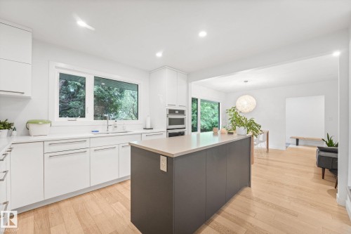 14128 98 Avenue Nw, Edmonton, AB - Indoor Photo Showing Kitchen