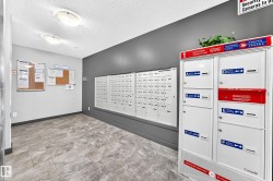 Modern leasing office featuring organized mail sorting stations with multiple compartments, neutral gray accent walls, recessed ceiling lighting, and wood-finish flooring throughout the space - 