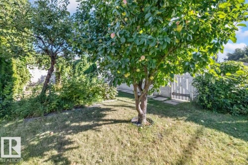 6003 95 Avenue Nw, Edmonton, AB 