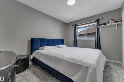 Carpeted flooring, neutral wall paint, ceiling-mounted light fixture, and a window with white framing - 3230 21A Avenue Nw, Edmonton, AB 