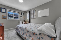 Window with horizontal blinds, carpeted flooring, and neutral wall color - 