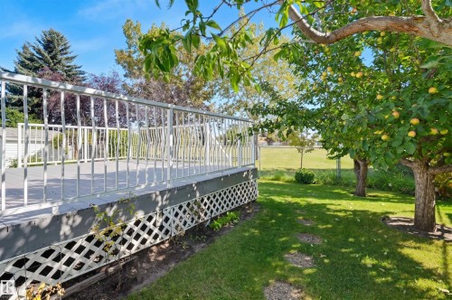 13709 131 Avenue Nw, Edmonton, AB 