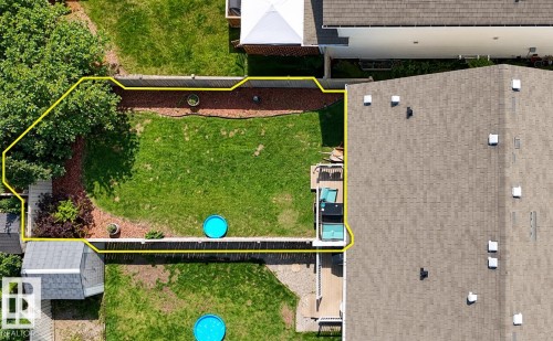 Expansive backyard featuring a manicured lawn, established landscaping, and a fenced perimeter - 1709 64 Street Sw, Edmonton, AB 