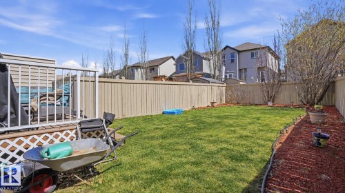 Expansive backyard featuring a manicured lawn, a wood deck with white railings, and a privacy fence - 1709 64 Street Sw, Edmonton, AB 