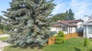 Exterior featuring an expansive front lawn, mature evergreen tree, wood fencing, and a gabled roofline - 3722 34A Avenue Nw, Edmonton, AB 