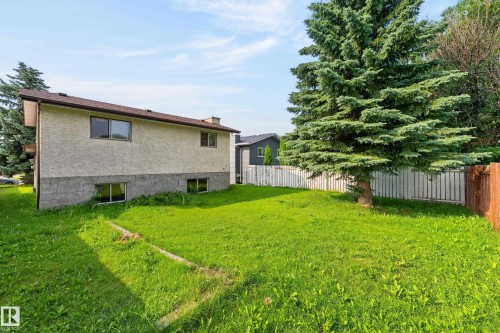 Stucco exterior with dark-framed windows, a prominent conifer, and a white picket fence - 3722 34A Avenue Nw, Edmonton, AB 