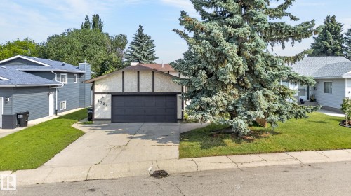 Two-car garage with dark gray door, stucco exterior with dark trim, mature front yard tree, concrete driveway, and front lawn - 3722 34A Avenue Nw, Edmonton, AB 
