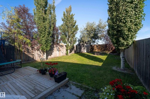 448 Reed Crescent, Leduc, AB 