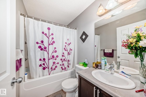 3734 9 Street Nw, Edmonton, AB 