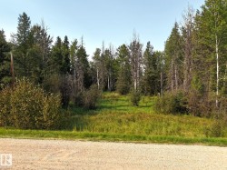 9002 HWY 16   Rural Yellowhead, AB T0E 2M0