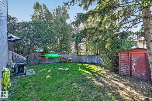 Expansive green lawn with mature trees, wood fence enclosure, and a storage shed - 17919 78 Avenue Nw, Edmonton, AB 