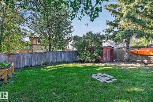 Expansive green lawn with a wood privacy fence, mature trees, garden bed, and a storage shed - 17919 78 Avenue Nw, Edmonton, AB 