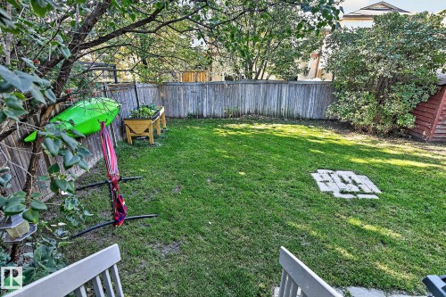 Expansive grassy yard with mature trees, wood fence, and built-in garden beds - 17919 78 Avenue Nw, Edmonton, AB 