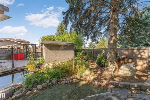 Expansive backyard featuring a stone-edged pond, a stucco-sided shed with shingled roof, a mature evergreen tree, and wood fencing - 11208 163A Avenue Nw, Edmonton, AB 