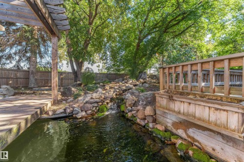Water feature with rock accents, natural wood pergola, and mature trees, bordered by a wood fence - 11208 163A Avenue Nw, Edmonton, AB 
