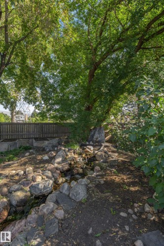 Landscaped water feature with natural rock elements, mature trees, and a wood fence - 11208 163A Avenue Nw, Edmonton, AB 
