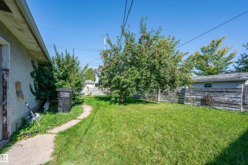 Expansive grassy yard area with mature trees and a concrete pathway - 8812 135A Avenue Nw, Edmonton, AB 