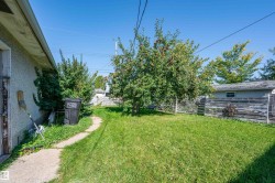 Expansive grassy yard area with mature trees and a concrete pathway - 