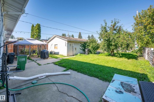 Expansive concrete patio with a detached garage and a grassy lawn area - 8812 135A Avenue Nw, Edmonton, AB 