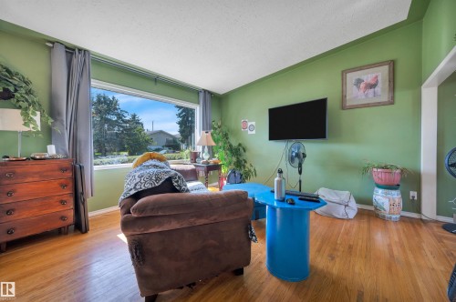 Expansive picture window, rich wood-finish flooring, and a wall-mounted television - 8812 135A Avenue Nw, Edmonton, AB 