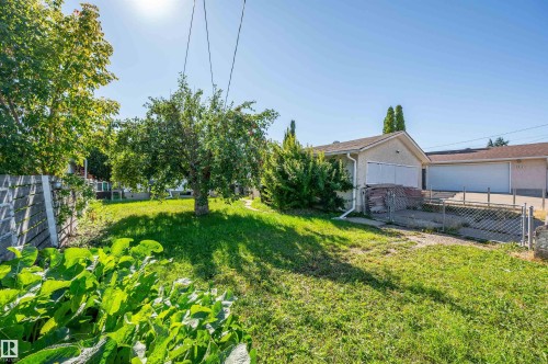 Expansive grassy yard with mature trees and a chain-link fence - 8812 135A Avenue Nw, Edmonton, AB 