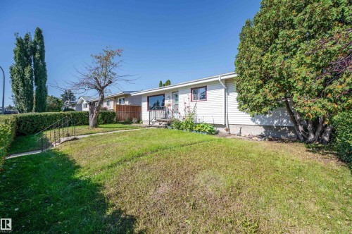 White siding exterior, mature perimeter hedging, established front yard tree, concrete foundation, and a front porch with railing - 8812 135A Avenue Nw, Edmonton, AB 