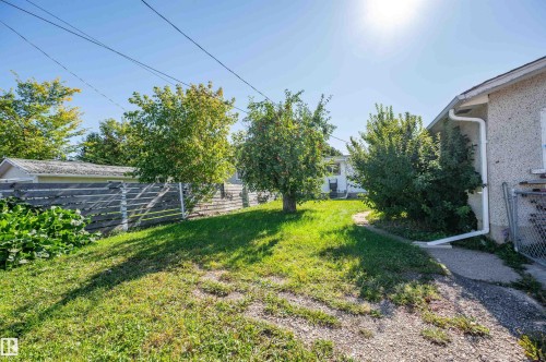 Expansive yard with established trees, green lawn, and a partial wood fence - 8812 135A Avenue Nw, Edmonton, AB 