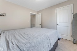 Textured carpet flooring, neutral wall paint, and white paneled doors - 