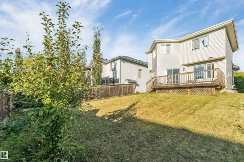 Expansive backyard featuring a mature fruit-bearing tree, sloped lawn, and wooden privacy fencing - 136 55 Street Sw, Edmonton, AB 
