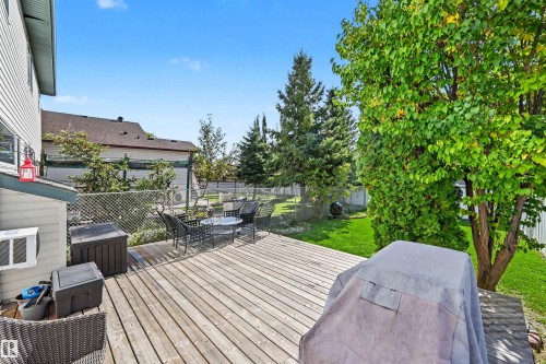 Expansive outdoor decking, chain link fencing, mature deciduous and coniferous trees, and a manicured lawn - 8513 156 Avenue Nw, Edmonton, AB 
