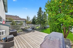 Expansive outdoor decking, chain link fencing, mature deciduous and coniferous trees, and a manicured lawn - 