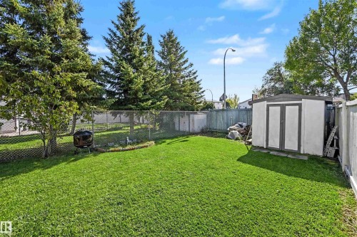 Expansive backyard featuring a manicured lawn, established trees, chain-link fencing, and a storage shed with double doors - 8513 156 Avenue Nw, Edmonton, AB 