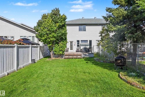 Expansive green lawn with mature trees and a private wood fence - 8513 156 Avenue Nw, Edmonton, AB 