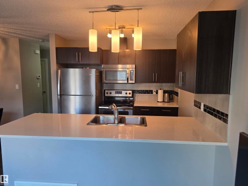 #20 2004 Trumpeter Wy Nw, Edmonton, AB - Indoor Photo Showing Kitchen With Stainless Steel Kitchen With Double Sink With Upgraded Kitchen