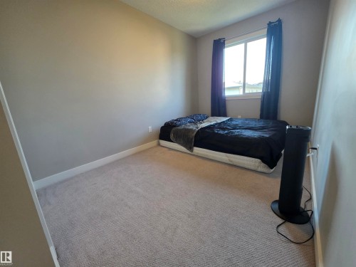 #20 2004 Trumpeter Wy Nw, Edmonton, AB - Indoor Photo Showing Bedroom