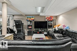 Wood-finish flooring with a neutral wall palette - 
