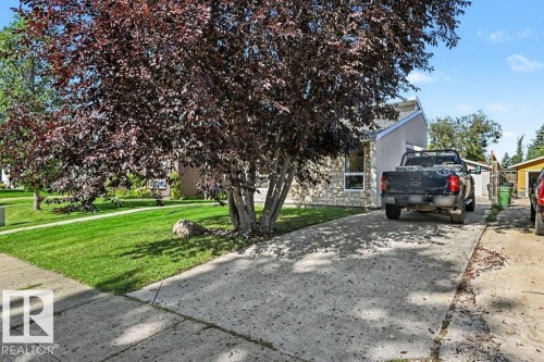 Mature deciduous tree providing shade to the front lawn - 8708 25A Avenue Nw, Edmonton, AB 