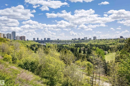 Expansive green space featuring diverse trees and open grassy areas - #815 10160 114 St Nw, Edmonton, AB 