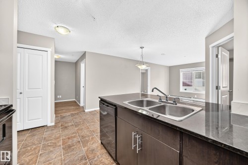 #219 5816 Mullen Pl Nw, Edmonton, AB - Indoor Photo Showing Kitchen With Double Sink