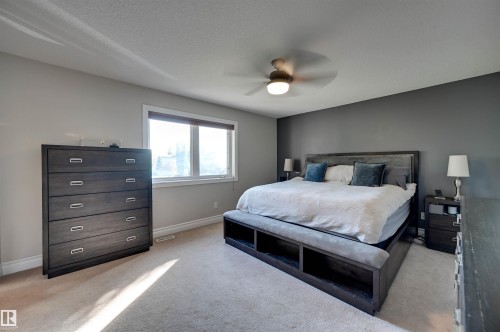 Carpeted flooring, a window with white trim, a ceiling fan with integrated lighting, and a dark accent wall - 2203 Warry Loop Sw, Edmonton, AB 