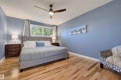 Light wood-finish flooring, tufted headboard, and a ceiling fan with integrated lighting - 