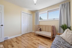 Hardwood flooring, dual pane windows, bi-fold closet doors, white trim, and a ceiling-mounted light fixture - 