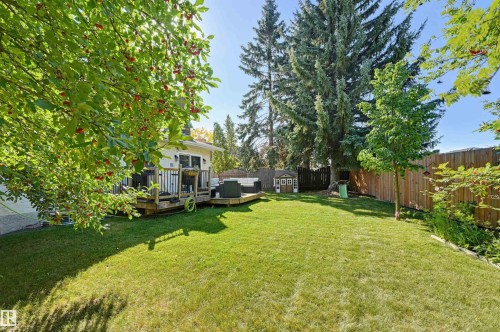 Expansive backyard featuring a manicured lawn, mature trees, and a multi-level wood deck - 30 Gariepy Crescent Nw, Edmonton, AB 