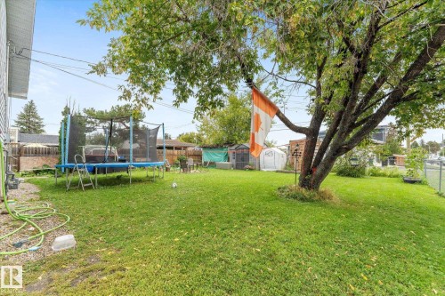 Expansive grassy yard with mature trees - 16012 98 Avenue Nw, Edmonton, AB 
