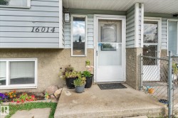 Entry featuring a white storm door, concrete porch, horizontal siding, and a textured stucco foundation - 