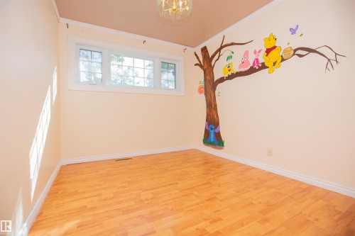 Recessed window with white trim, light-toned walls, wood-finish flooring, and a ceiling-mounted light fixture - 13032 120 Street Nw, Edmonton, AB 