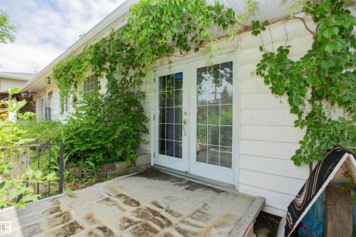White paneled siding with dual French doors, a concrete patio, and established perimeter landscaping - 13032 120 Street Nw, Edmonton, AB 