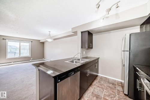 #210 3315 James Mowatt Tr Sw Sw, Edmonton, AB - Indoor Photo Showing Kitchen With Double Sink